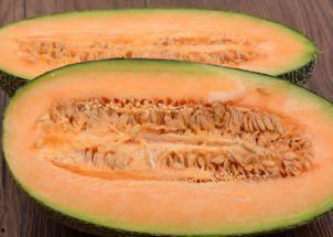 东北人吃哈密瓜视频下载,视频下载见证美味之旅